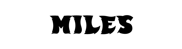 GOWES Personal Use  Free Fonts Download