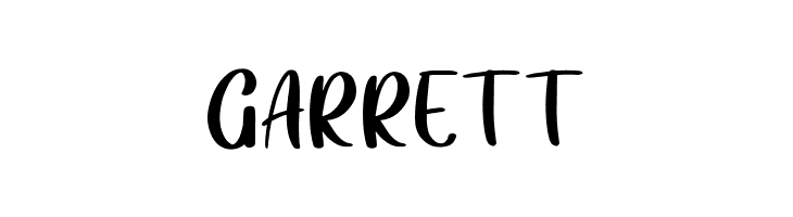 Angelina Demo  Free Fonts Download