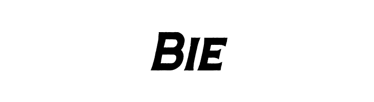 Hardtown Rust DEMO Bold Italic  Free Fonts Download