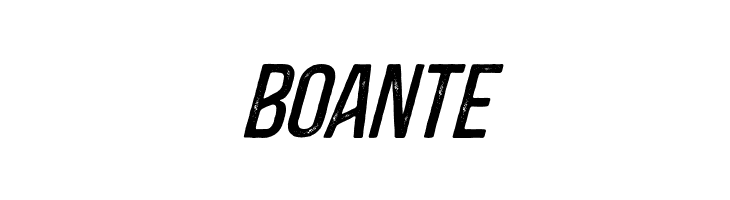 BlacksideRustItalic  Free Fonts Download