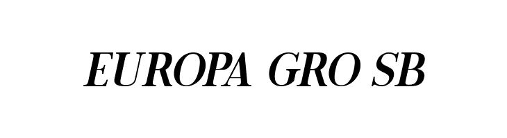 Chrono Italic  Free Fonts Download