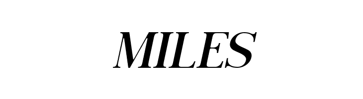 Night Italic  Free Fonts Download