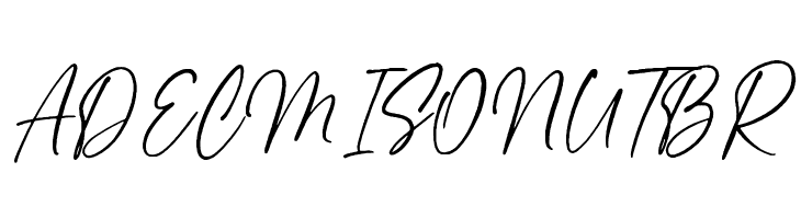 Next Southerland Script DEMO  Free Fonts Download