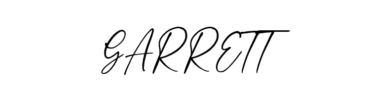 Next Southerland Script DEMO  Free Fonts Download