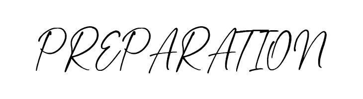 Next Southerland Script DEMO  Free Fonts Download