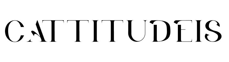 BLANCO  Free Fonts Download