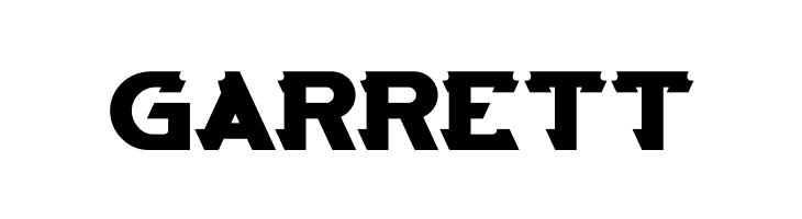 ARCADE Bold  Free Fonts Download