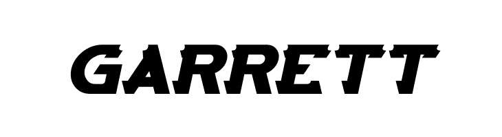 ARCADE Bold Italic  Free Fonts Download