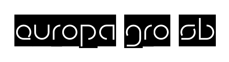 DigitalMan_Inverse  Free Fonts Download
