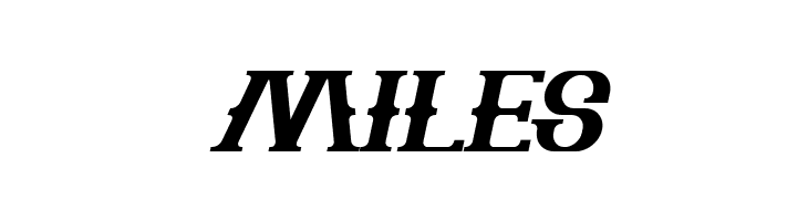 The Bartender Bold Italic  Free Fonts Download