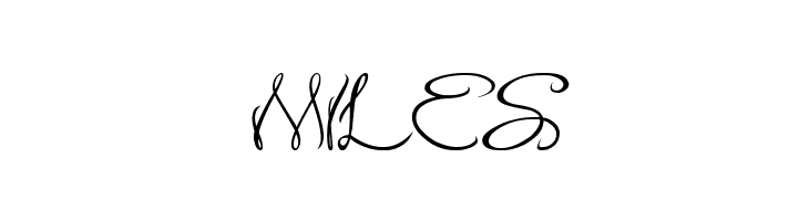 Flower In The Window Italic  Free Fonts Download
