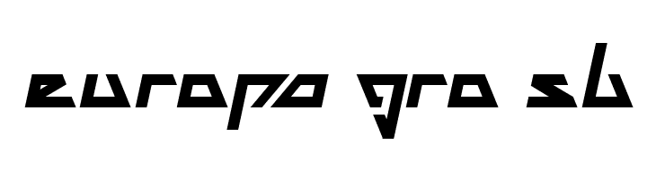 THE TRAINING ARTIST Bold Italic  Free Fonts Download