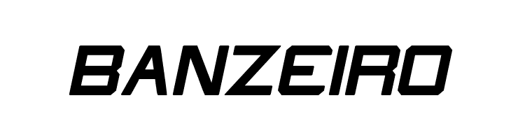 What The FUN Bold Italic  Free Fonts Download