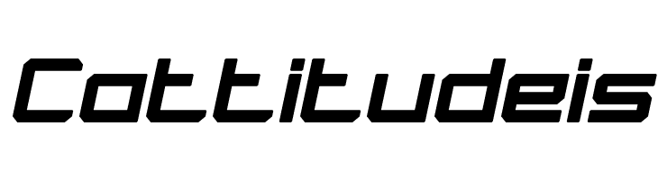 What The FUN Bold Italic  Free Fonts Download