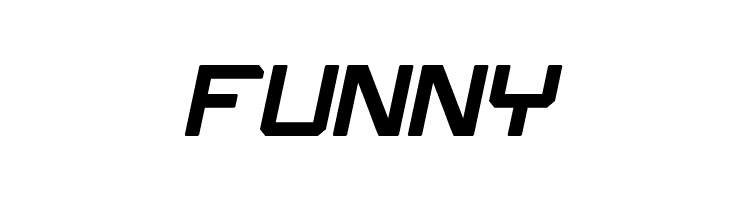 What The FUN Bold Italic  Free Fonts Download