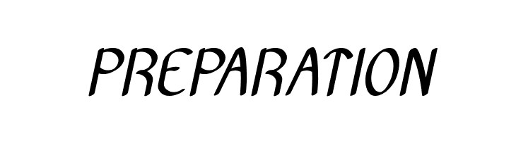 Archive Italic  Free Fonts Download