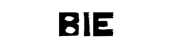 Dirty Dung Solid  Free Fonts Download