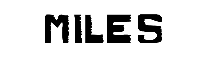 Dirty Dung Solid  Free Fonts Download