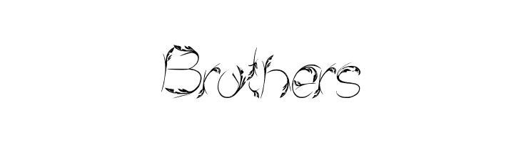 Bird Feather Italic  Free Fonts Download
