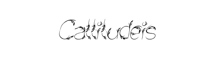 Bird Feather Italic  Free Fonts Download