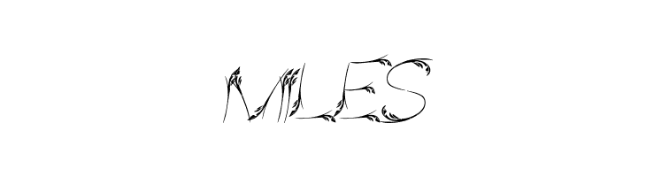 Bird Feather Italic  Free Fonts Download