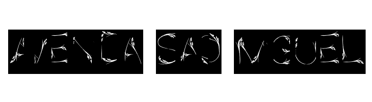 Bird Feather-Inverse  Free Fonts Download