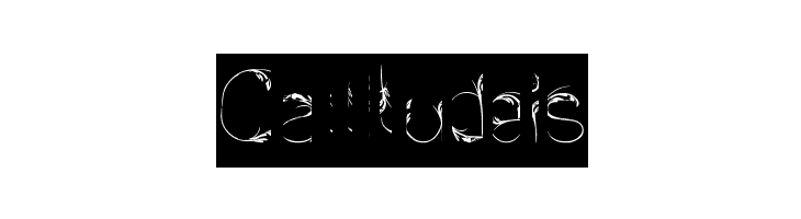 Bird Feather-Inverse  Free Fonts Download