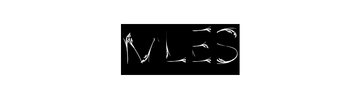 Bird Feather-Inverse  Free Fonts Download