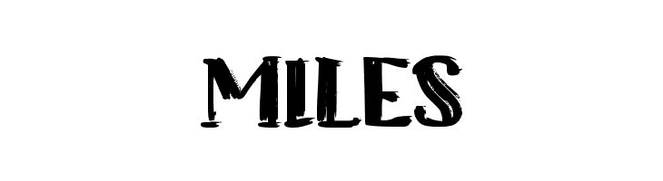 BRISKET  Free Fonts Download