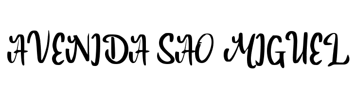 Budget_Trip  Free Fonts Download