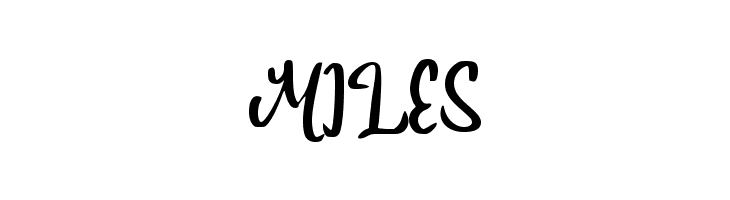 Budget_Trip  Free Fonts Download