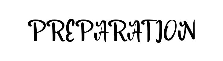 Budget_Trip  Free Fonts Download