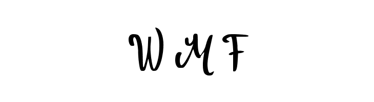 Budget_Trip  Free Fonts Download