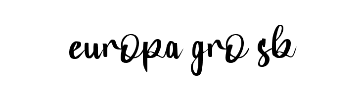 Budget_Trip  Free Fonts Download