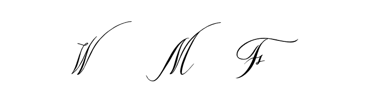 Netnite  Free Fonts Download