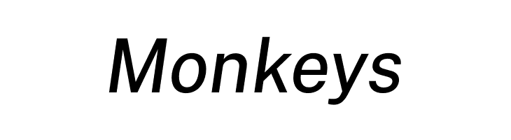 Public Sans Medium Italic  Free Fonts Download