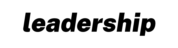 Public Sans Black Italic  Free Fonts Download