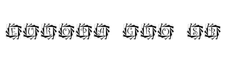 Tourbillon  Free Fonts Download