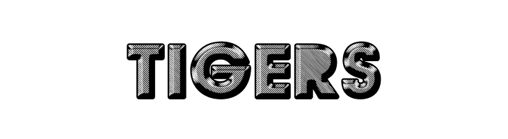 BRONZEAGE PERSONAL USE Bold  Free Fonts Download