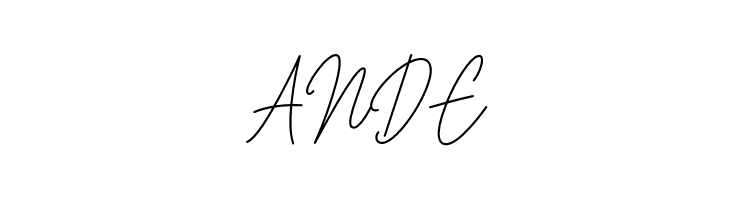 House Signature Script  Free Fonts Download