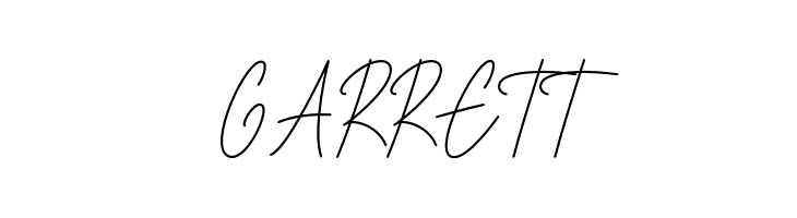 House Signature Script  Free Fonts Download