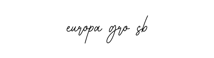 House Signature Script  Free Fonts Download