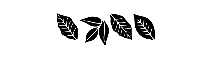 Aromatron Ornaments  Free Fonts Download