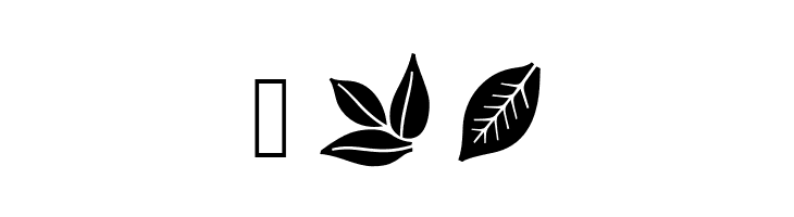 Aromatron Ornaments  Free Fonts Download