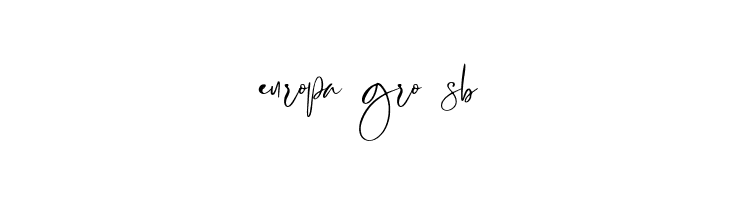 RastyKing Regular  Free Fonts Download