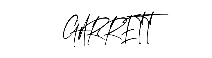 Emeralde Chamerions Script  Free Fonts Download