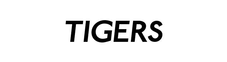 Paddington Bold Italic  Free Fonts Download