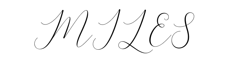 BitthaiScript  Free Fonts Download