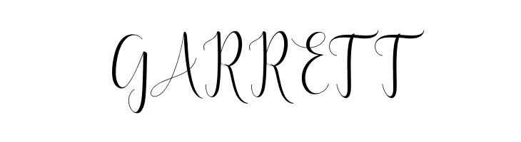 DelightScript  Free Fonts Download