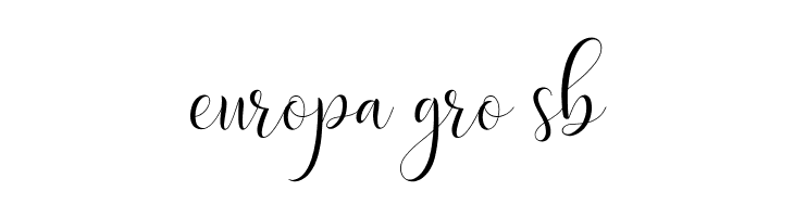 DelightScript  Free Fonts Download